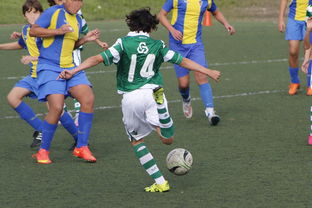 开元娱乐平台 -科维托娃在MAD比赛中逆转，势不可挡引发热议！